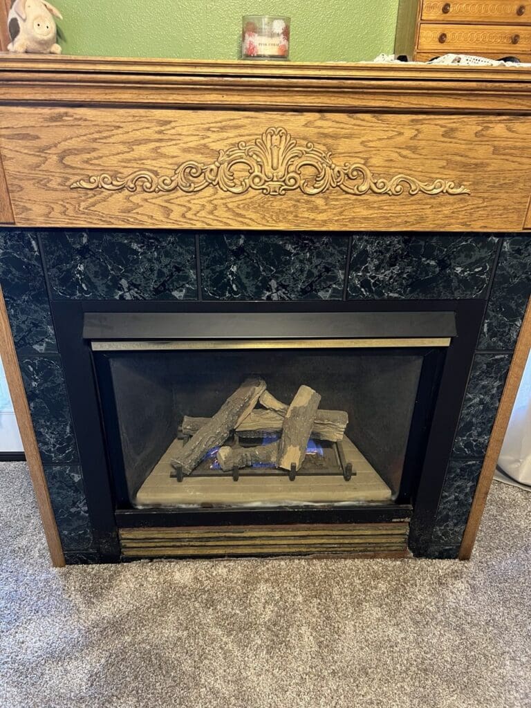 Electric Fireplace